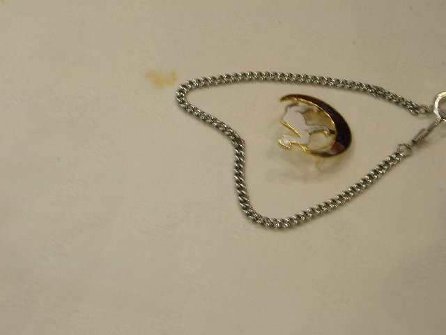DSCF5224