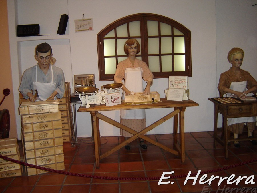 Enrique00388.jpg