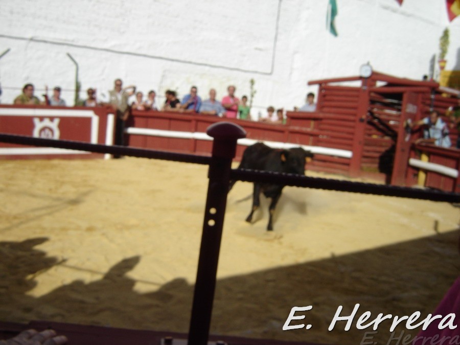 Enrique00438.jpg