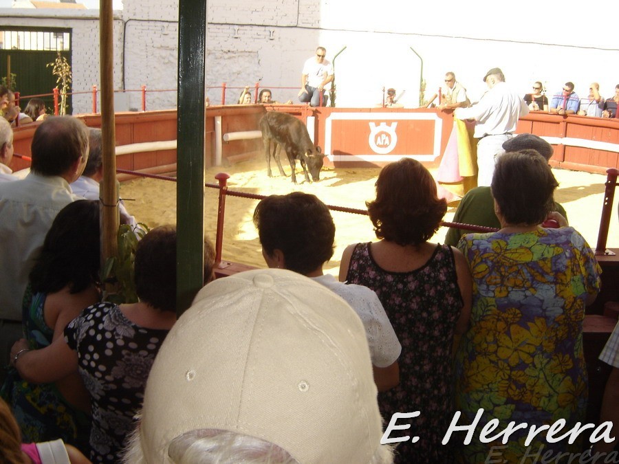 Enrique00440.jpg