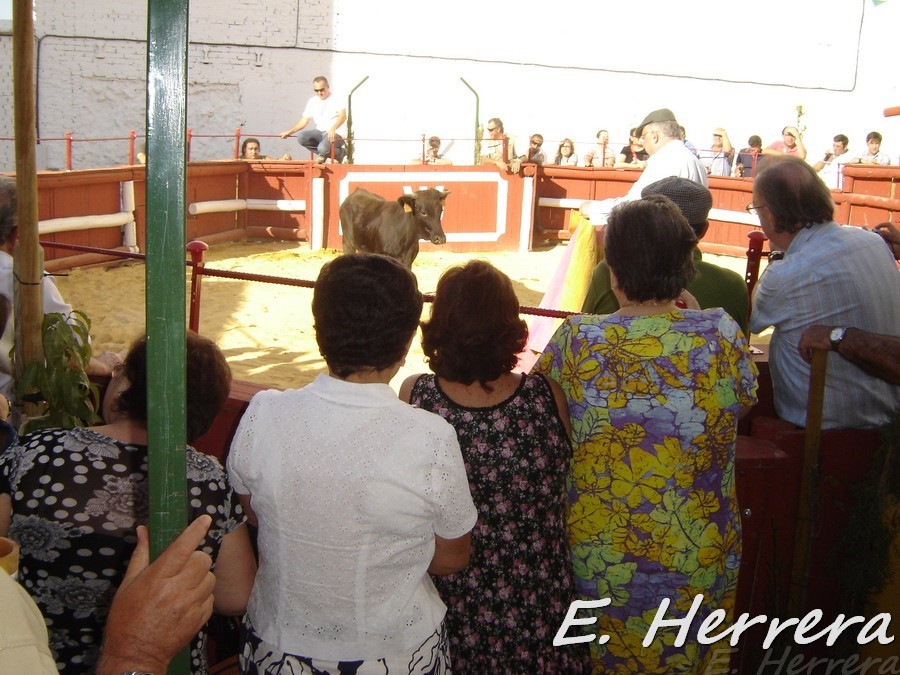 Enrique00441.jpg