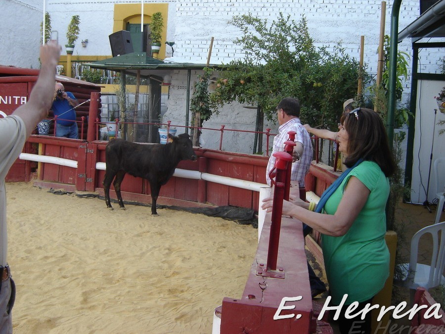 Enrique00461.jpg