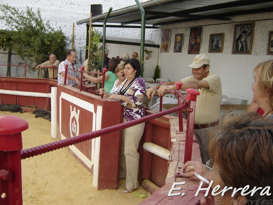 Enrique00472.jpg