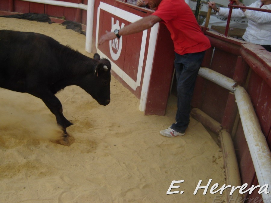 Enrique00479.jpg