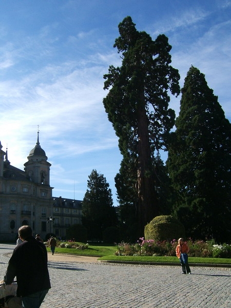182_SEGOVIA