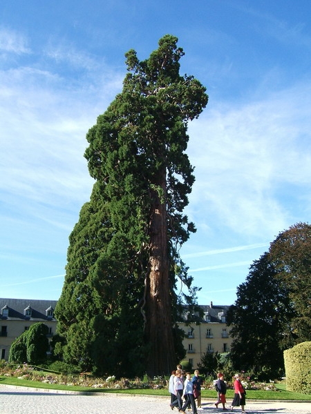 185_SEGOVIA