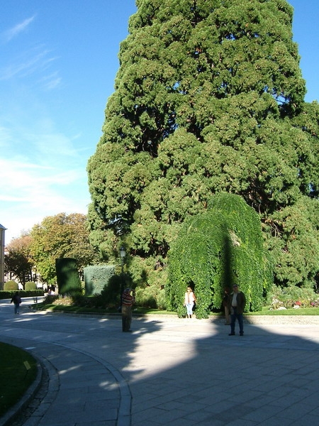 194_SEGOVIA