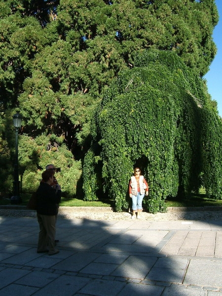 195_SEGOVIA