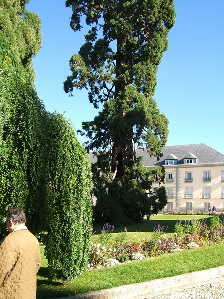 196_SEGOVIA