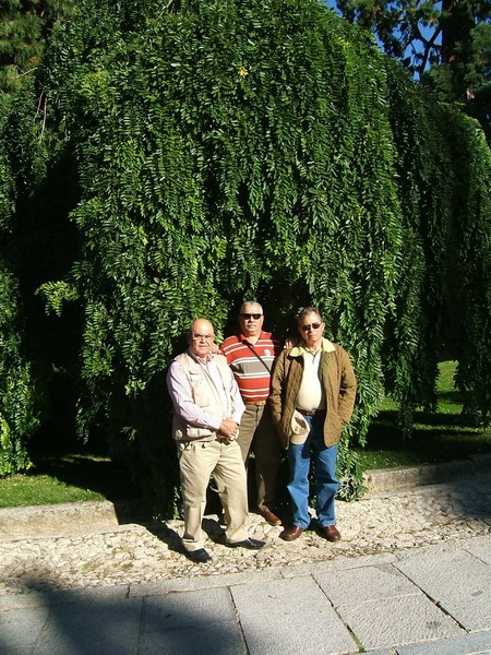 197_SEGOVIA