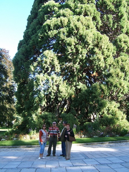 200_SEGOVIA