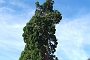 185_SEGOVIA