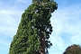 186_SEGOVIA