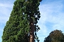 187_SEGOVIA