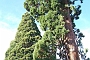 188_SEGOVIA