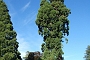 190_SEGOVIA