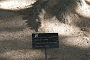 207_SEGOVIA