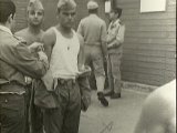mili bir0007.jpg