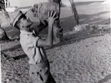 mili0023.jpg