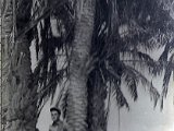 mili0083.jpg