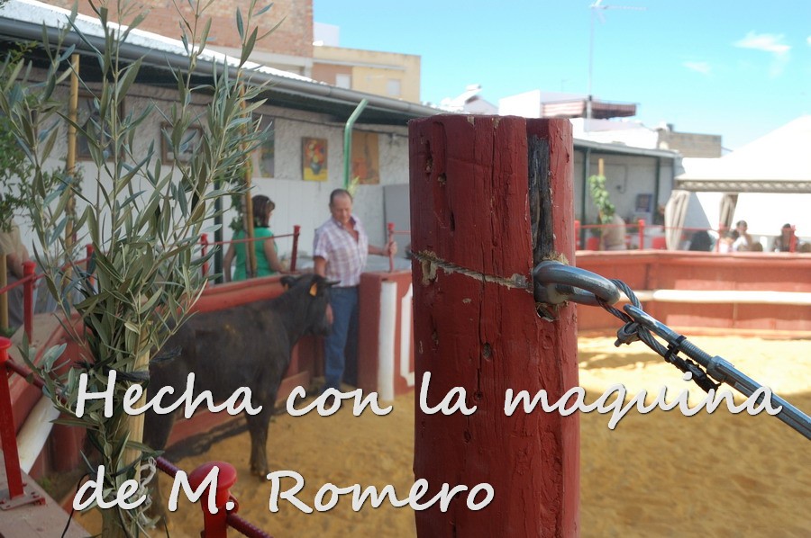 Por todos ESTEPA 2015.JPG