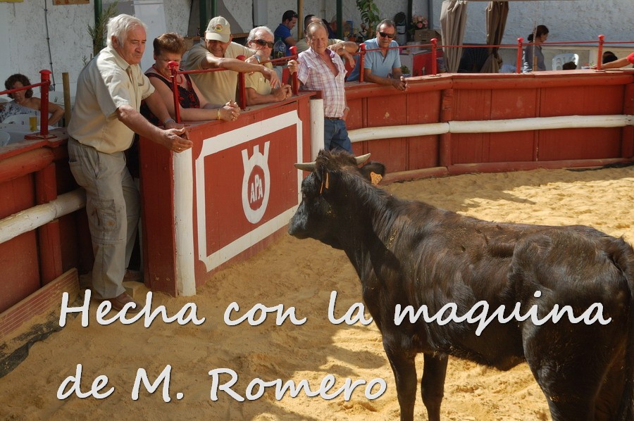 Por todos ESTEPA 2094.JPG