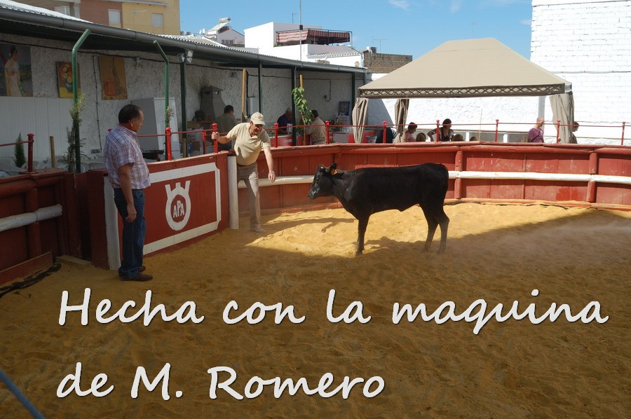 Por todos ESTEPA 2103.JPG