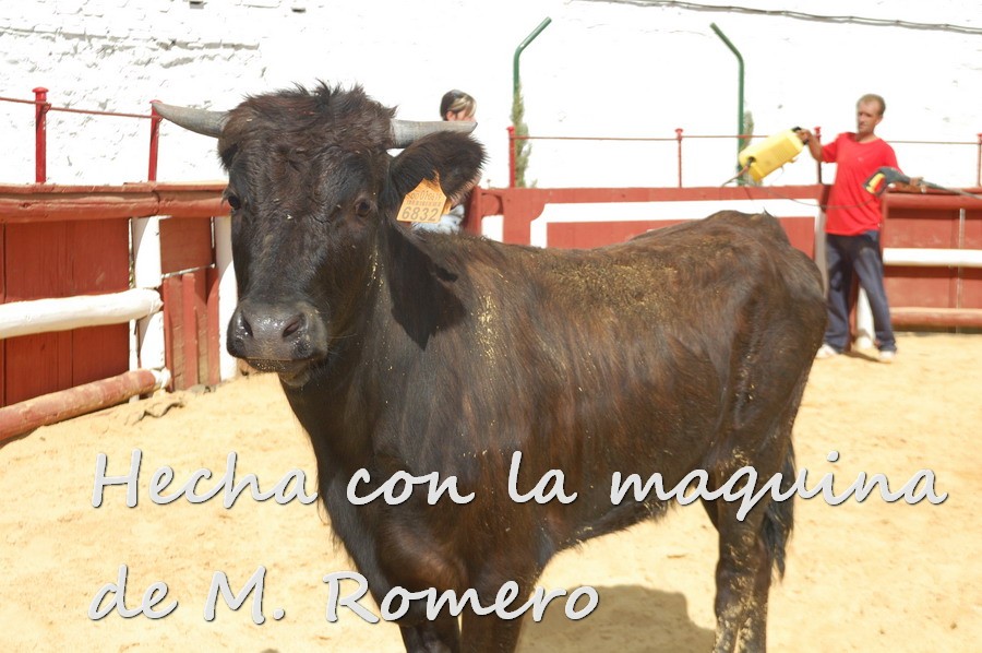 Por todos ESTEPA 2115.JPG