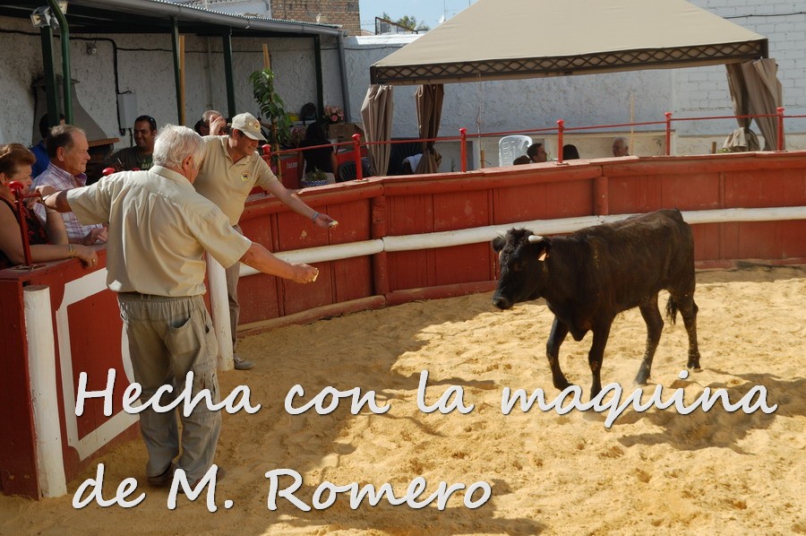 Por todos ESTEPA 2140.JPG